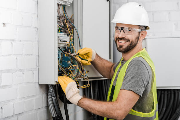 Best Ceiling Fan Installation Electrician  in Shelbyvle, IL