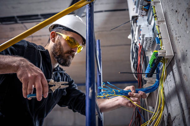 Best Local Electrician Companies  in Shelbyvle, IL