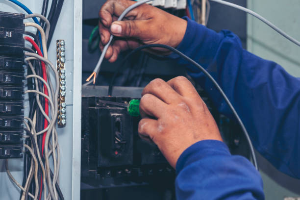 Best 24-Hour Electrician  in Shelbyvle, IL