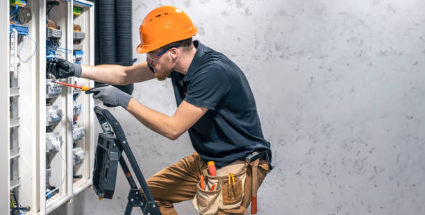 Best Licensed Electrician  in Shelbyvle, IL