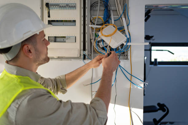Best Electric Panel Repair  in Shelbyvle, IL